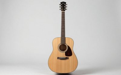 Best Acoustic Electric Guitars for Every Budget
