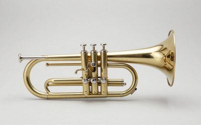 Best Baritone Horns for Students and Performers