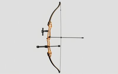 Best Compound Bows for Hunting and Target Shooting
