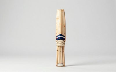 Best Cricket Bats for Match Play and Practice