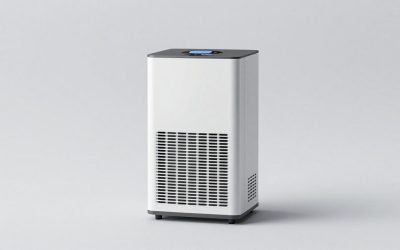 Best Dehumidifier for a Sneaker Collection: Dryers, Desiccants and Odor Fixes Sorted