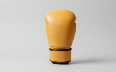 Best Muay Thai Pads for Coaches and Striking Practice