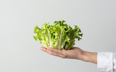 Best Salad Server Sets for Large Bowls