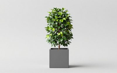 Best Vertical Garden Planters