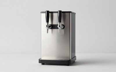 Best Wine Dispensing Systems for Home