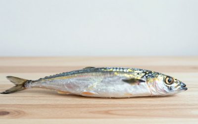 Best King Oscar Sardines in Olive Oil in 2026: How the Top Models Compare