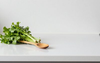 Knife Sharpeners for Kitchen: Buying Guide